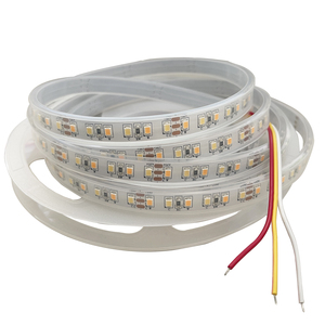 12V 套管防水调光调色温灯带（12V-120C，DC12v，5米一卷，宽12MM）